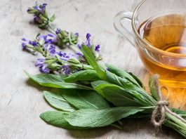 Čaj za smirivanje upale mokraćnih kanala: 5 magičnih biljaka protiv bakterija Čaj za smirivanje upale mokraćnih kanala: 5 magičnih biljaka protiv bakterija - featured image