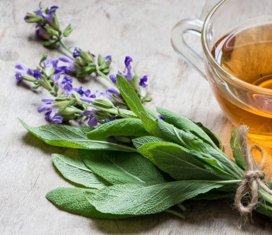 Čaj za smirivanje upale mokraćnih kanala: 5 magičnih biljaka protiv bakterija Čaj za smirivanje upale mokraćnih kanala: 5 magičnih biljaka protiv bakterija - featured image