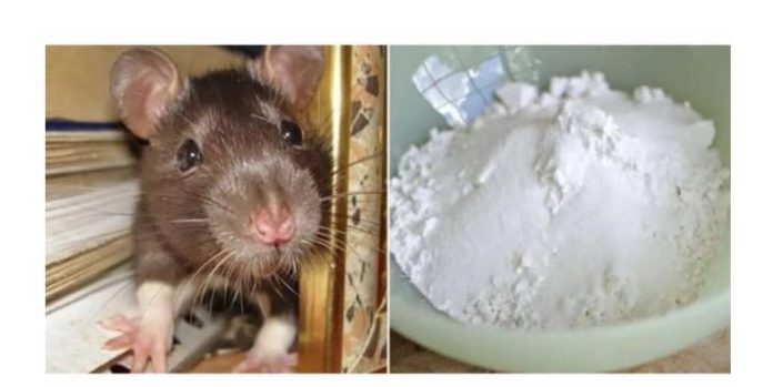 Domaći TRIK da se riješite miševa u stanu i podrumu: Samo sam ga spustio na zemlju i sutradan miševa nema nigdje! - featured image Domaći TRIK da se riješite miševa u stanu i podrumu: Samo sam ga spustio na zemlju i sutradan miševa nema nigdje! - featured image