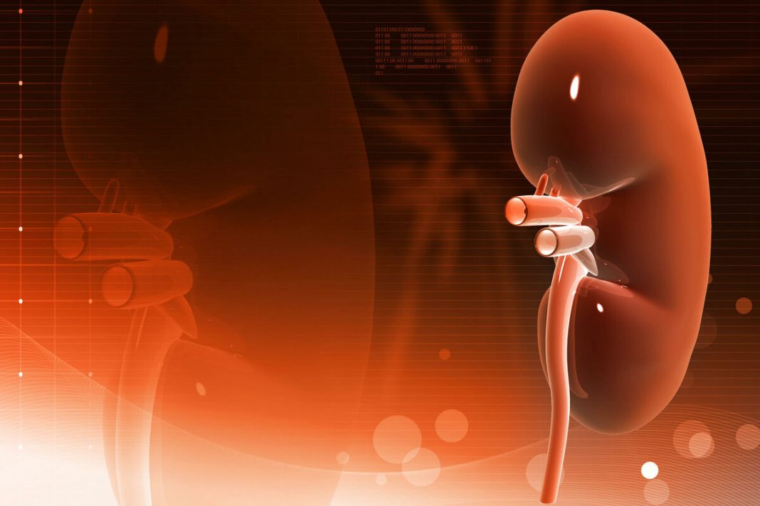 OVO PIĆE RAZARA BUBREGE KAO OD ŠALE, A SRBI GA MASOVNO PIJU: Samo par gutljaja ga cepa na komade, pravo zlo u čaši - featured image OVO PIĆE RAZARA BUBREGE KAO OD ŠALE, A SRBI GA MASOVNO PIJU: Samo par gutljaja ga cepa na komade, pravo zlo u čaši - featured image