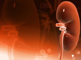 OVO PIĆE RAZARA BUBREGE KAO OD ŠALE, A SRBI GA MASOVNO PIJU: Samo par gutljaja ga uništava, pravo zlo u čaši OVO PIĆE RAZARA BUBREGE KAO OD ŠALE, A SRBI GA MASOVNO PIJU: Samo par gutljaja ga cepa na komade, pravo zlo u čaši - featured image