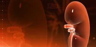 OVO PIĆE RAZARA BUBREGE KAO OD ŠALE, A SRBI GA MASOVNO PIJU: Samo par gutljaja ga uništava, pravo zlo u čaši OVO PIĆE RAZARA BUBREGE KAO OD ŠALE, A SRBI GA MASOVNO PIJU: Samo par gutljaja ga cepa na komade, pravo zlo u čaši - featured image