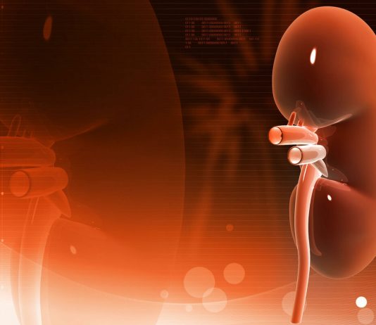 OVO PIĆE RAZARA BUBREGE KAO OD ŠALE, A SRBI GA MASOVNO PIJU: Samo par gutljaja ga uništava, pravo zlo u čaši OVO PIĆE RAZARA BUBREGE KAO OD ŠALE, A SRBI GA MASOVNO PIJU: Samo par gutljaja ga cepa na komade, pravo zlo u čaši - featured image