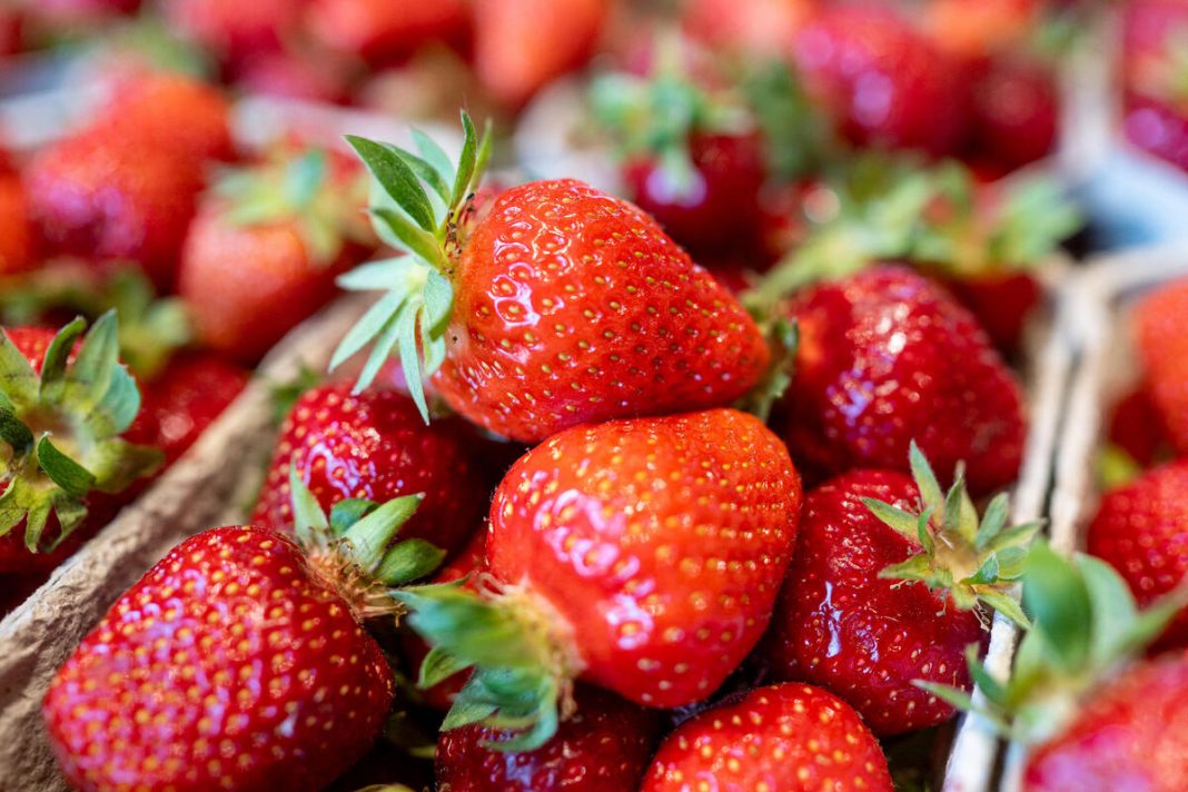 OVO JE NAJVEĆA PREVARA SA JAGODAMA KOJU VAM PODMEĆU NA PIJACAMA: Ako vidite ovo na dnu gajbice, bežite od te tezge - featured image