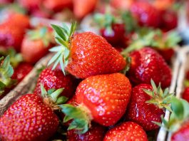 OVO JE NAJVEĆA PREVARA SA JAGODAMA KOJU VAM PODMEĆU NA PIJACAMA: Ako vidite ovo na dnu gajbice, bežite od te tezge OVO JE NAJVEĆA PREVARA SA JAGODAMA KOJU VAM PODMEĆU NA PIJACAMA: Ako vidite ovo na dnu gajbice, bežite od te tezge - featured image