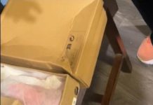 Žena naručila papuče preko Temu-a, kada su joj stigle, umelo nije doživela šlog! Prevrnula se na glavu kada je… Žena naručila papuče preko Temu-a, kada su joj stigle, umelo nije doživela šlog! Prevrnula se na glavu kada je… - featured image