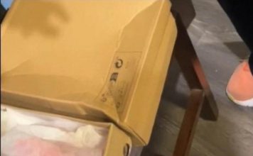 Žena naručila papuče preko Temu-a, kada su joj stigle, umelo nije doživela šlog! Prevrnula se na glavu kada je… Žena naručila papuče preko Temu-a, kada su joj stigle, umelo nije doživela šlog! Prevrnula se na glavu kada je… - featured image
