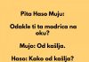 Mujo i modrica