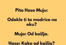 Mujo i modrica