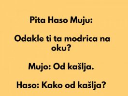 Mujo i modrica