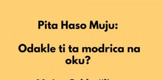 Mujo i modrica