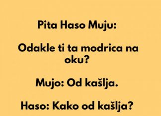 Mujo i modrica