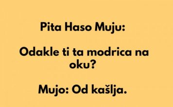Mujo i modrica