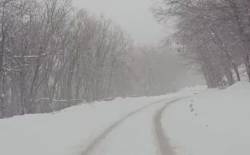 Usred jula pao sneg i u Srbiji: Evo gde se zabelelo – neverovatan prizor (FOTO) Usred jula pao sneg i u Srbiji: Evo gde se zabelelo - neverovatan prizor (FOTO) - featured image