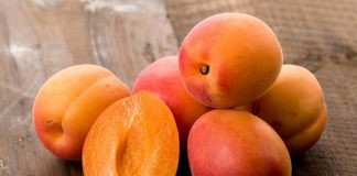 U ovih 5 situacija nipošto ne smete da jedete kajsije! Lekari upozoravaju, ako imate bar jednu bežite od njih U ovih 5 situacija nipošto ne smete da jedete kajsije! Lekari upozoravaju, ako imate bar jednu bežite od njih - featured image
