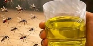 Korisni savjeti kako se riješiti muha i komaraca u kući Korisni savjeti kako se riješiti muha i komaraca u kući - featured image