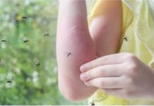 Sipajte OVO u čašu vode i komarci vam neće ulaziti u kuću: Napravite moćan alat za uživanje u ljetnim večerima! Sipajte OVO u čašu vode i komarci vam neće ulaziti u kuću: Napravite moćan alat za uživanje u ljetnim večerima! - featured image