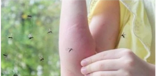 Sipajte OVO u čašu vode i komarci vam neće ulaziti u kuću: Napravite moćan alat za uživanje u ljetnim večerima! Sipajte OVO u čašu vode i komarci vam neće ulaziti u kuću: Napravite moćan alat za uživanje u ljetnim večerima! - featured image