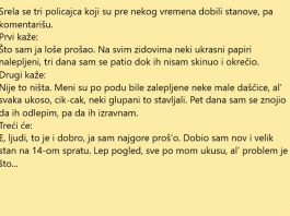 VIC DANA: Srela se tri policajca