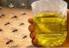 Korisni savjeti kako se riješiti muha i komaraca u kući