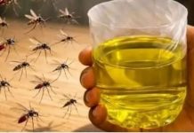 Korisni savjeti kako se riješiti muha i komaraca u kući