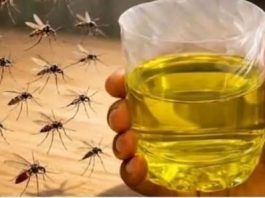 Korisni savjeti kako se riješiti muha i komaraca u kući
