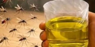 Korisni savjeti kako se riješiti muha i komaraca u kući