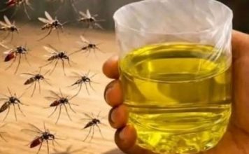 Korisni savjeti kako se riješiti muha i komaraca u kući