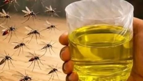 Korisni savjeti kako se riješiti muha i komaraca u kući