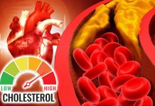 Holesterol ne zavisi samo od ishrane: Pet navika posle večere koje mogu pomoći da ga snizite Holesterol ne zavisi samo od ishrane: Pet navika posle večere koje mogu pomoći da ga snizite - featured image