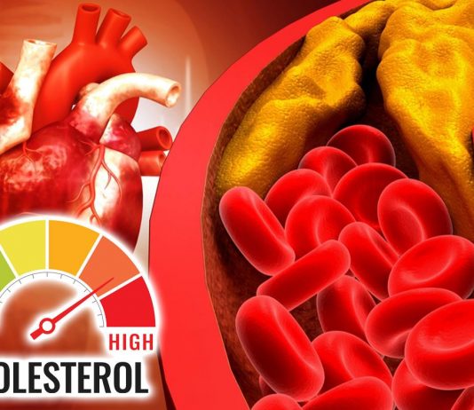 Holesterol ne zavisi samo od ishrane: Pet navika posle večere koje mogu pomoći da ga snizite Holesterol ne zavisi samo od ishrane: Pet navika posle večere koje mogu pomoći da ga snizite - featured image