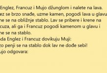 Naletjeli na lava