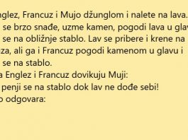 Naletjeli na lava