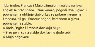 Naletjeli na lava