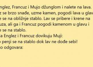 Naletjeli na lava