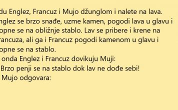 Naletjeli na lava