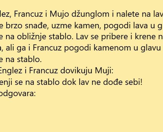 Naletjeli na lava