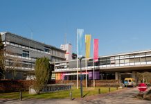 Holanđani svako leto posipaju so po putevima: Srbi to rade samo zimi, a razlog ne možete ni da zamislite Holanđani svako leto posipaju so po putevima: Srbi to rade samo zimi, a razlog ne možete ni da zamislite - featured image