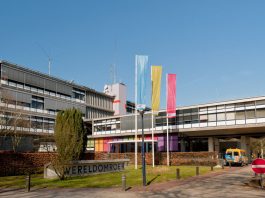 Holanđani svako leto posipaju so po putevima: Srbi to rade samo zimi, a razlog ne možete ni da zamislite Holanđani svako leto posipaju so po putevima: Srbi to rade samo zimi, a razlog ne možete ni da zamislite - featured image