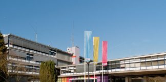 Holanđani svako leto posipaju so po putevima: Srbi to rade samo zimi, a razlog ne možete ni da zamislite Holanđani svako leto posipaju so po putevima: Srbi to rade samo zimi, a razlog ne možete ni da zamislite - featured image