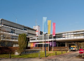 Holanđani svako leto posipaju so po putevima: Srbi to rade samo zimi, a razlog ne možete ni da zamislite Holanđani svako leto posipaju so po putevima: Srbi to rade samo zimi, a razlog ne možete ni da zamislite - featured image