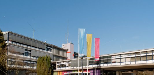 Holanđani svako leto posipaju so po putevima: Srbi to rade samo zimi, a razlog ne možete ni da zamislite Holanđani svako leto posipaju so po putevima: Srbi to rade samo zimi, a razlog ne možete ni da zamislite - featured image