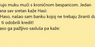 VIC DANA: Kredit