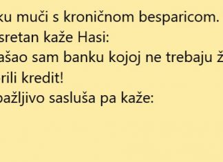 VIC DANA: Kredit