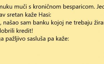 VIC DANA: Kredit