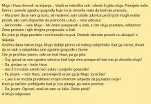 Mujo, Haso i zgodna udovica