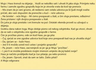 Mujo, Haso i zgodna udovica