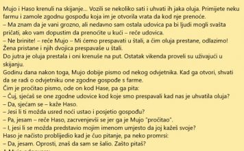 Mujo, Haso i zgodna udovica