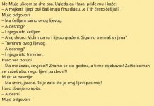 VIC DANA: Šeta Mujo i vodi dva psa
