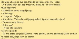 VIC DANA: Šeta Mujo i vodi dva psa